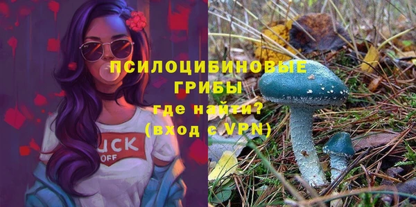 гашишное масло Козловка