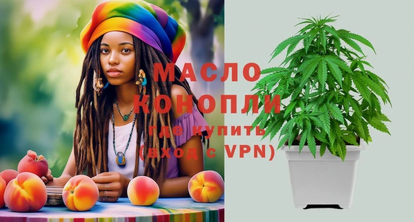сатива Кинешма