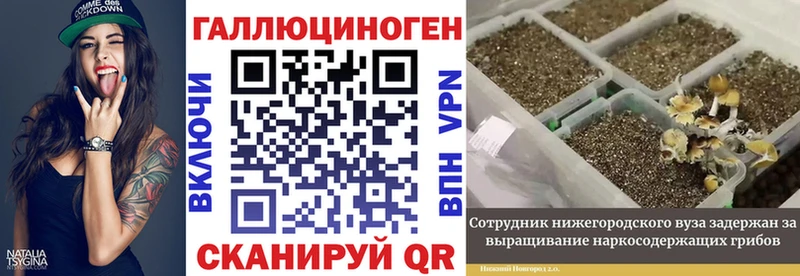 Псилоцибиновые грибы GOLDEN TEACHER Ладушкин